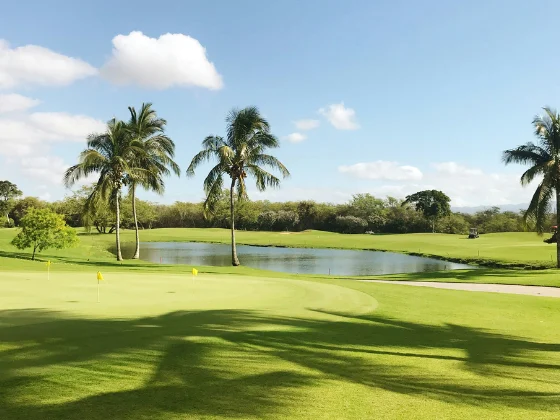 Sunny golf course with palm trees and a water hazard.