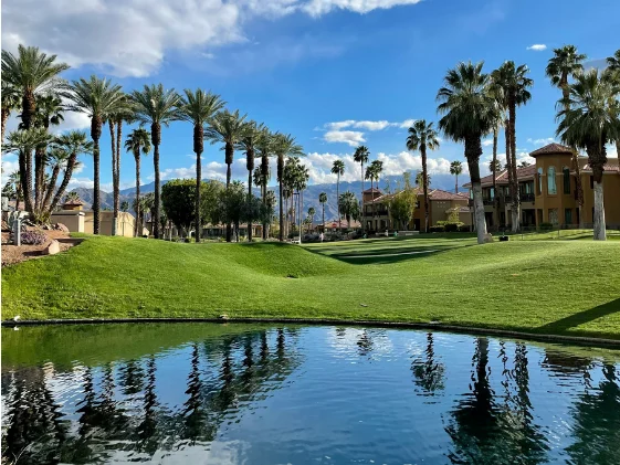Palm trees line a lush golf course with a pond reflecting the blue sky.